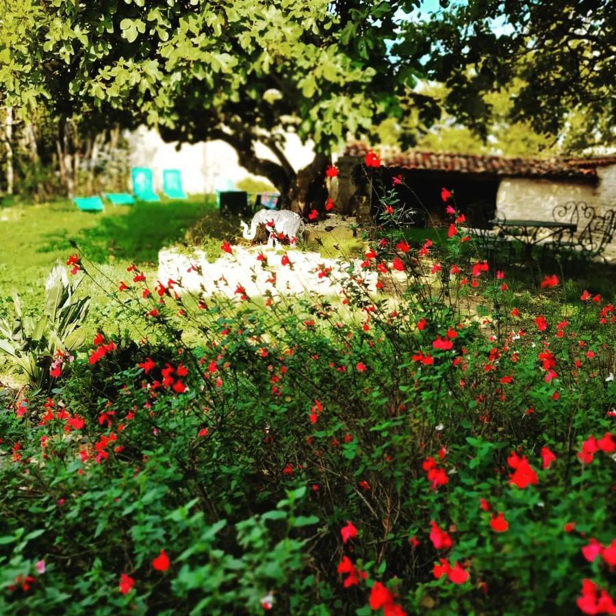 Gite 3 Etoiles Avec Spa, 2 Chambres Le Logis De Pearl Salles-sur-Mer エクステリア 写真